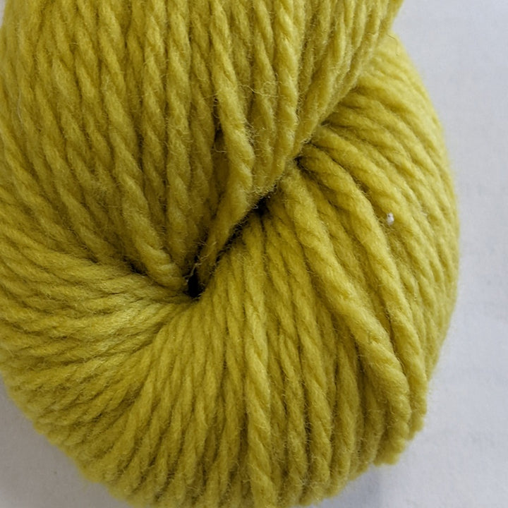 Imperial Willamette Dandelion#color_dandelion