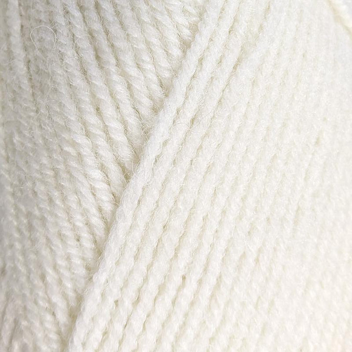 Encore Worsted 0146 Winter White#color_0146-winter-white