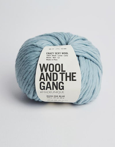 Crazy Sexy Wool Duck Egg Blue#color_duck-egg-blue