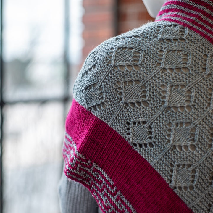 RCYC 2020 Mystery Knit-A-Long - Plot Twist