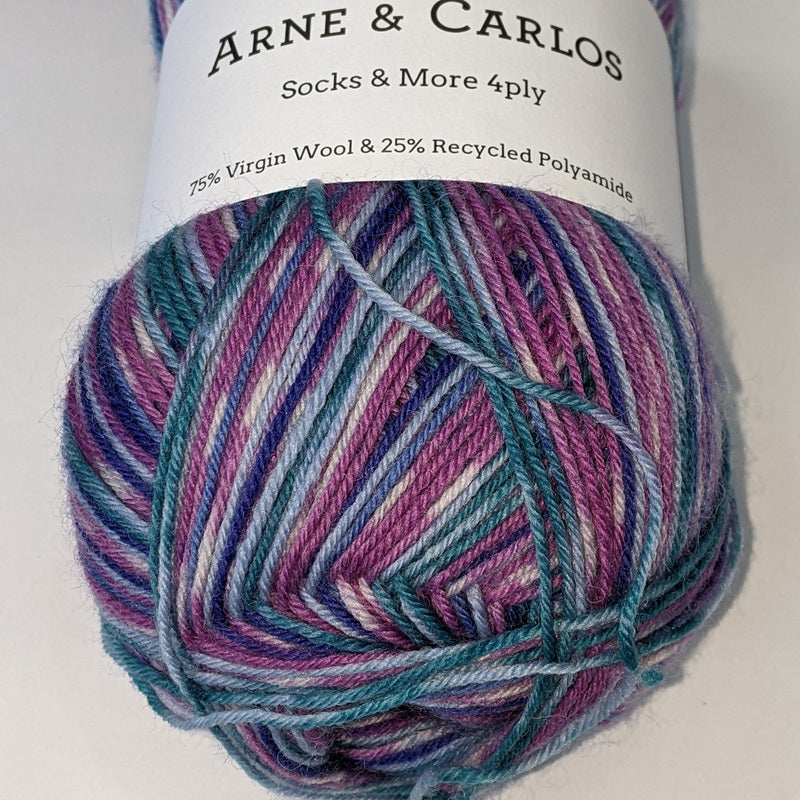 Arne & Carlos Sock Star Night#color_star-night
