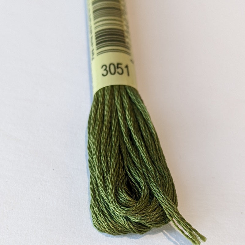 DMC Floss 3051 Forest Green#color_3051-forest-green