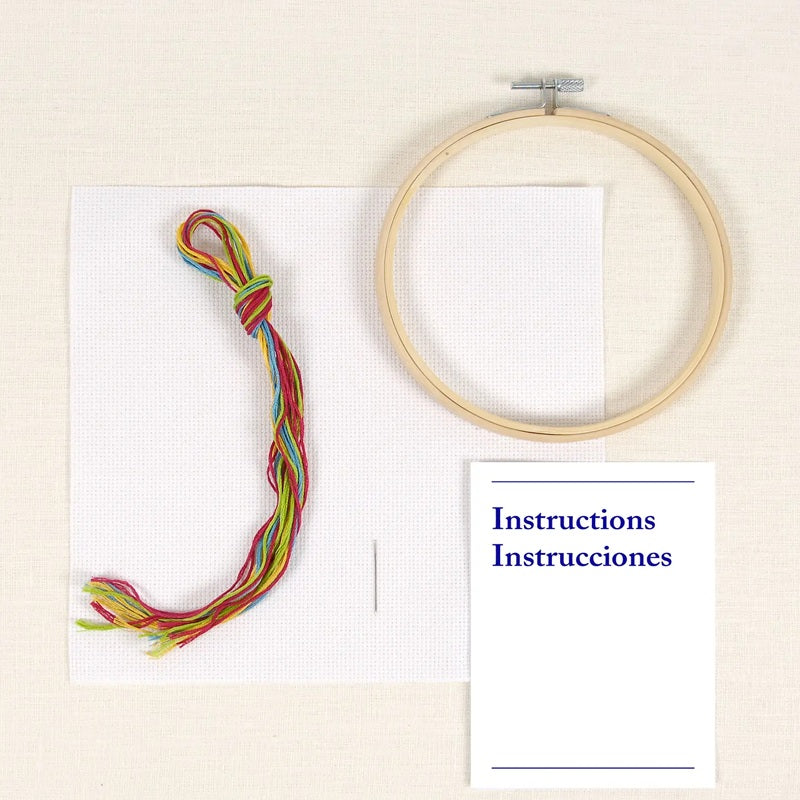 DMC Learning Kit- Cross Stitch