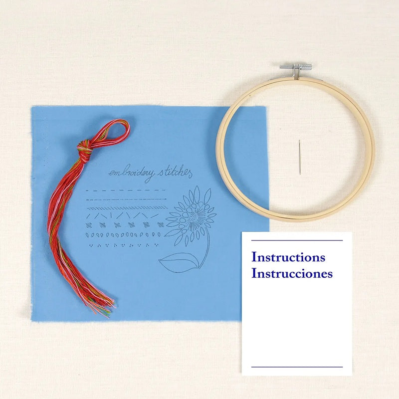 DMC Learning Kit- Embroidery