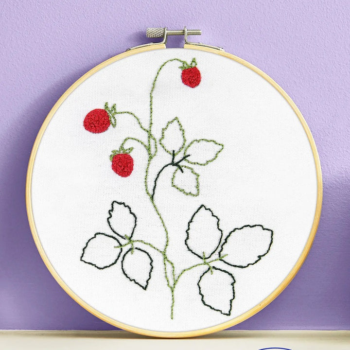 DMC Learning Kit- Fine Punch Needle