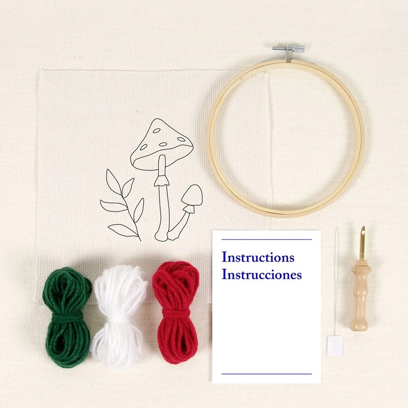 DMC Learning Kit- Punch Needle
