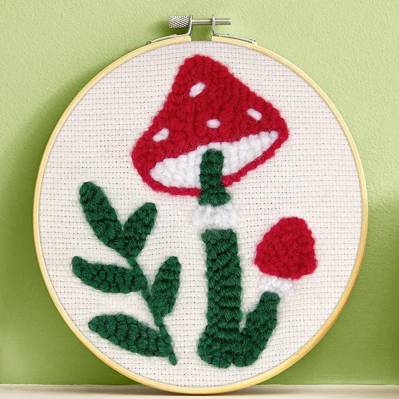 DMC Learning Kit- Punch Needle