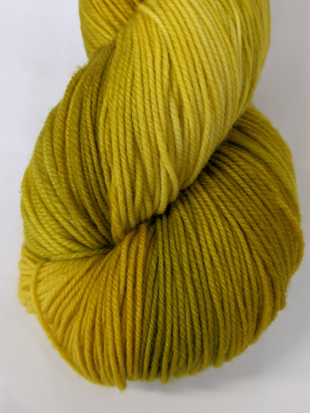 Imperial McKenzie Dandelion#color_dandelion