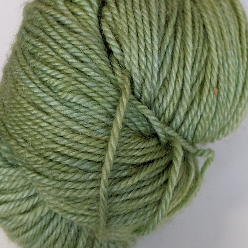 Mountain Colors Bearfoot Celery#color_celery