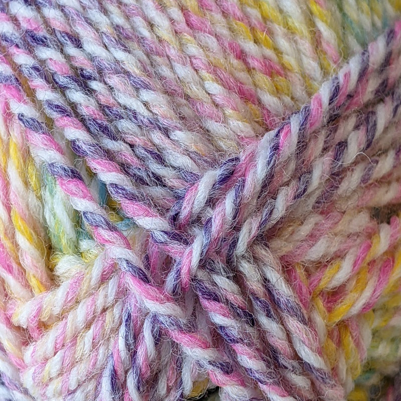 Plymouth Encore Worsted Colorspun 7722 Very Bright Kids#color_7722-very-bright-kids