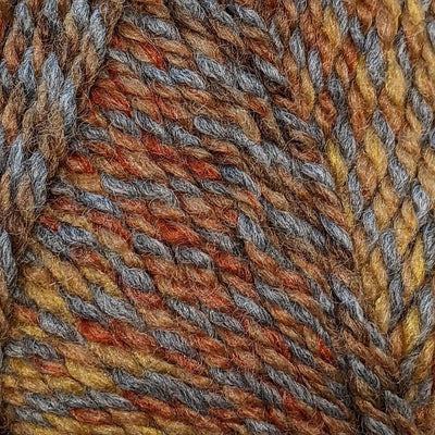 Encore Chunky Colorspun 7172 Golds/Browns#color_7172-golds-browns