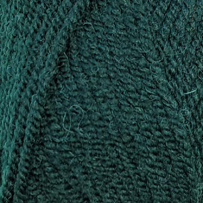 Encore Worsted 0204 Forest#color_0204-forest