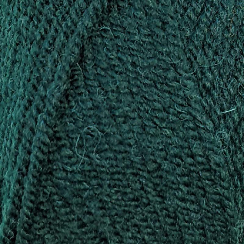 Encore Worsted 0204 Forest