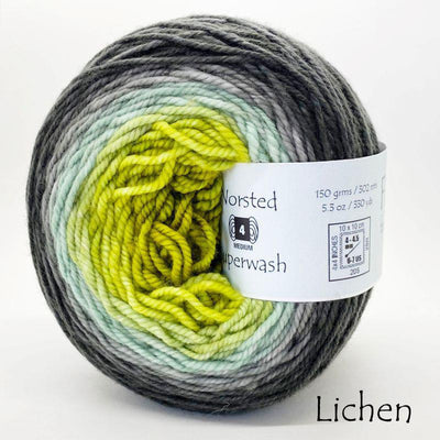 Ombré Superwash Worsted Amaranth#color_lichen