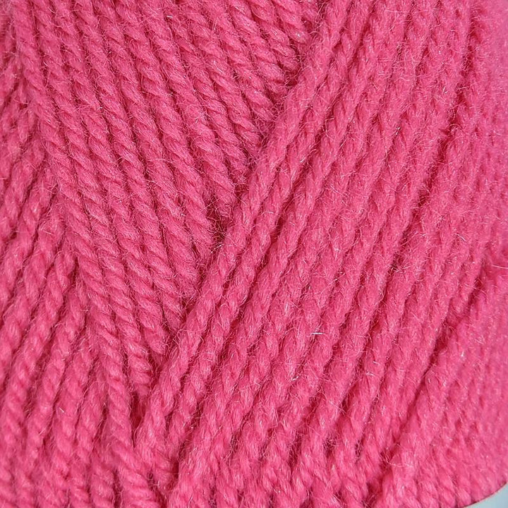 Encore Worsted 0137 California Pink#color_0137-california-pink