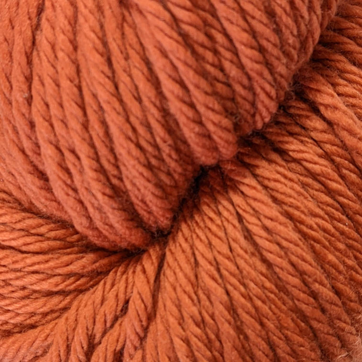 Chunky Merino Superwash 131 Pumpkin Spice#color_131-pumpkin-spice