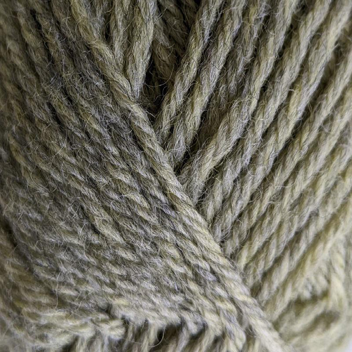 Galway Worsted 0748 Pistachio Heather#color_0748-pistachio-heather