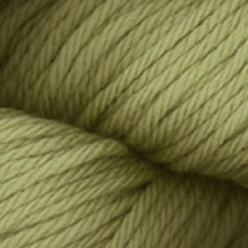 Chunky Merino Superwash 113 Sage#color_113-sage