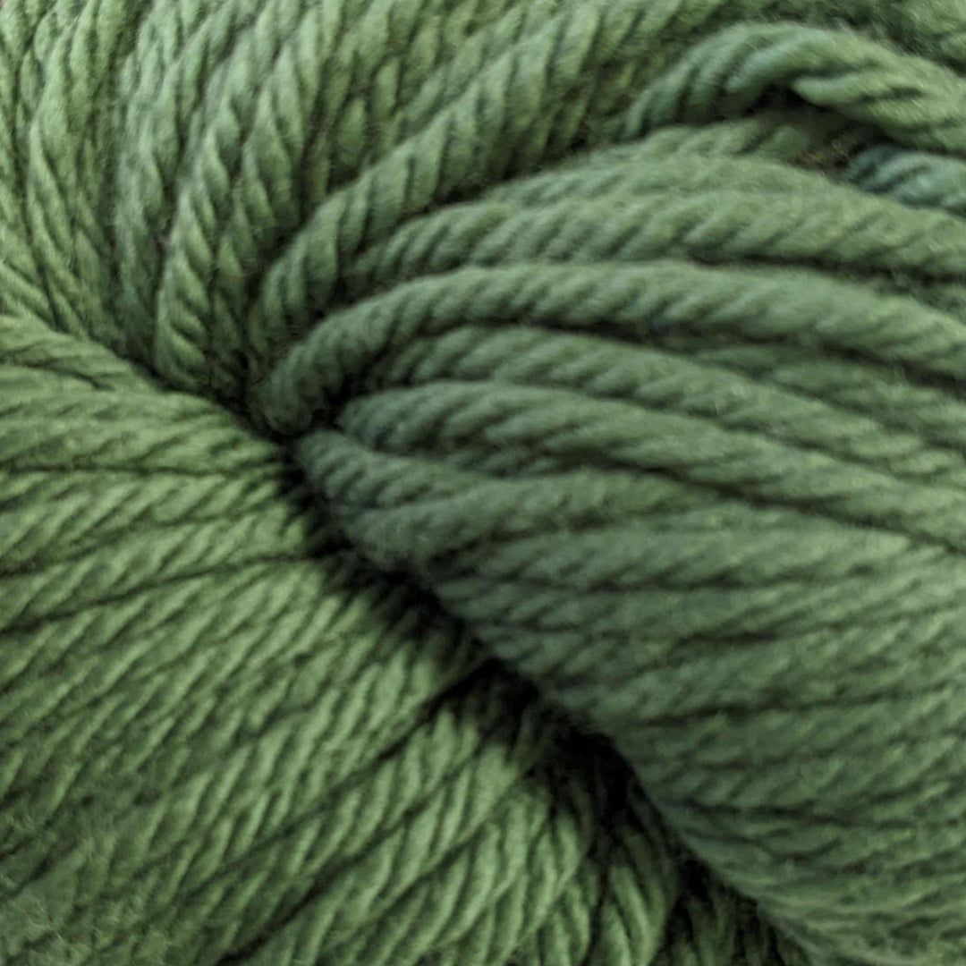 Chunky Merino Superwash 111 Hunter Green#color_111-hunter-green