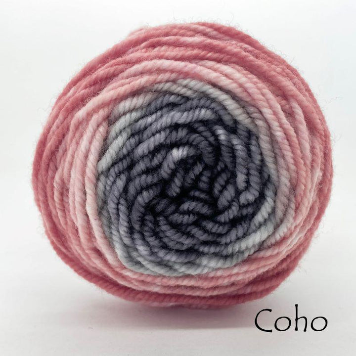 Ombré Superwash Sport Minkins Coho#color_coho