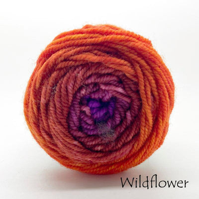 Ombré Superwash Sport Minikins Wildflower#color_wildflower